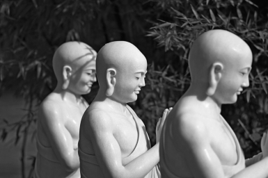 Ðạo đức y sinh từ một quan điểm Phật giáo