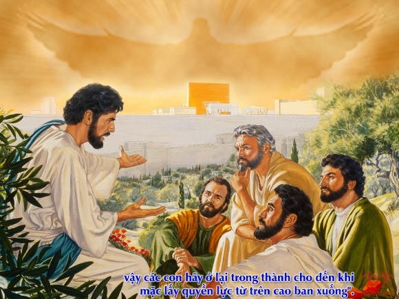 Chúa lên trời: Tin Mừng CN VII Phục Sinh bằng hình ảnh