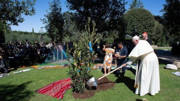 ĐGH Phanxicô trồng cây tại vườn Vatican