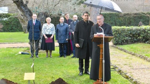 ĐHY Parolin trồng cây trong Vườn Vatican để tưởng nhớ gia đình Chân phước Ulma
