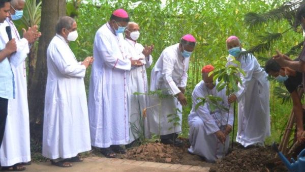 Giáo hội Bangladesh phát động chiến dịch trồng cây trong Năm “Laudato Si’”