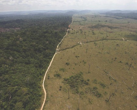 2017: một năm kinh hoàng cho vùng Amazon