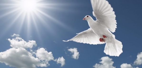 Giáo hội Hàn Quốc tổ chức Diễn đàn hoà bình và hoà giải