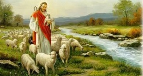Tôi ban sự sống đời đời cho chiên của tôi: SN TM Chúa Nhật tuần IV PS C (12.05.2019)