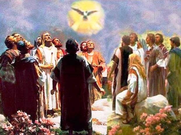 Thánh Thần sẽ dạy cho anh em biết : SN Tin Mừng thứ Bảy tuần XXVIII TN B (20.10.2018)