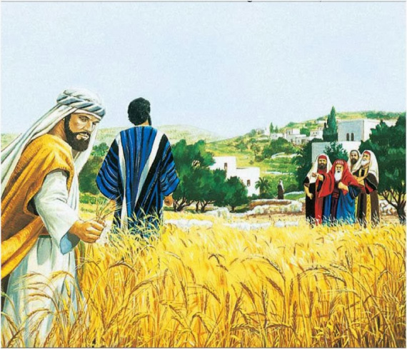 Con Người làm chủ ngày sabát: SN Tin Mừng thứ Ba - Thánh Antôn, Viện phụ (17.01.2023)
