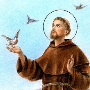 Thánh Phanxicô Assisi, con người của hòa bình (tt)