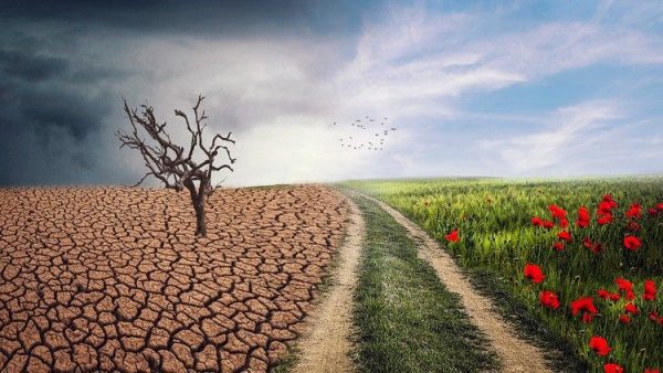 Caritas Quốc tế: Hệ sinh thái toàn diện là giải pháp cho khủng hoảng khí hậu