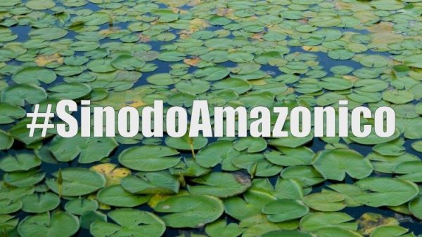 Công bố tài liệu làm việc của Thượng HĐGM Amazzonia