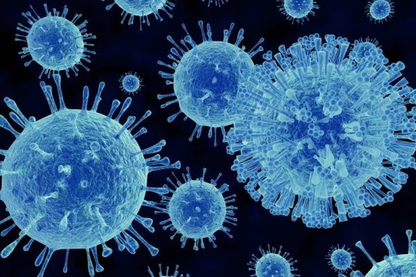 500 năm nhìn từ đại dịch: Bài 1 - Tìm thấy cả ``virus`` lẫn ``vaccine``