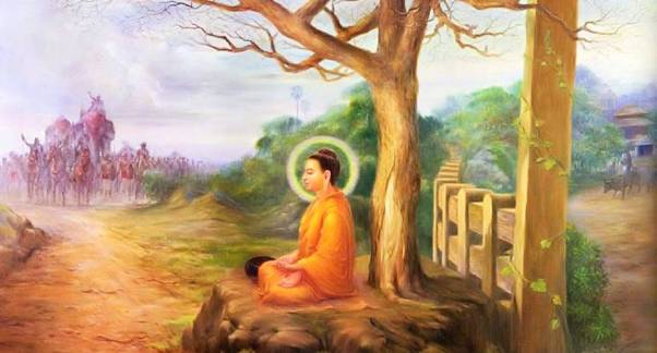 Đức Phật và cội cây quê nhà