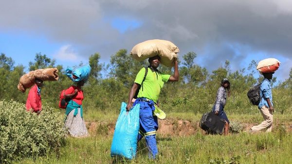 Tình liên đới của ĐGH dành cho những người đói khổ ở Zambia