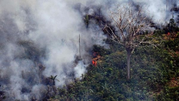 Liên HĐGM Châu Mỹ Latinh lên tiếng về vụ cháy rừng Amazon