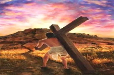 Vác thập giá theo Chúa: Tin Mừng CN XXIV TN bằng hình ảnh