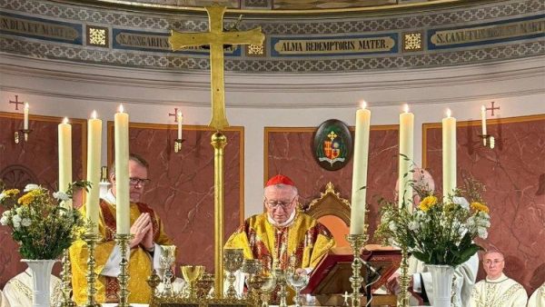 ĐHY Parolin cử hành Thánh lễ kỷ niệm 1.200 năm Thánh Ansgar rao giảng Tin Mừng tại Đan Mạch