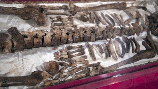 Thăm viếng thi hài Thánh Phanxicô Assisi nhân kỷ niệm 800 năm ngày qua đời (1226 - 2026)