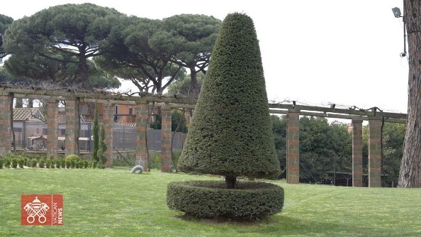 Các tổ chức môi trường ra mắt 