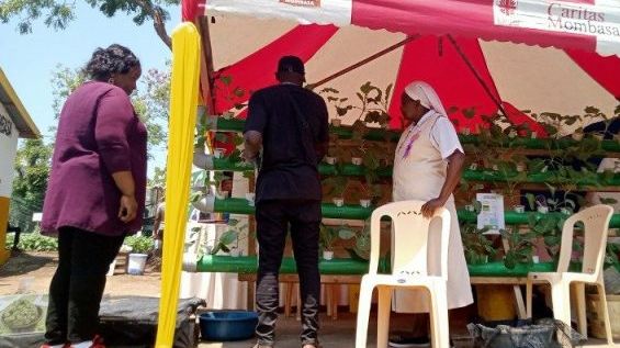 Nữ tu Kenya biến đổi nông nghiệp thành con đường phát triển cộng đồng