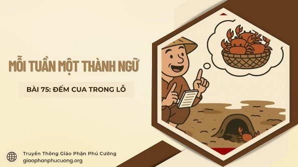 Mỗi tuần một thành ngữ: Đếm cua trong lỗ