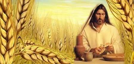 Đến với tôi, tin vào tôi: SN TM thứ Tư tuần III PS A (22.04.2026)