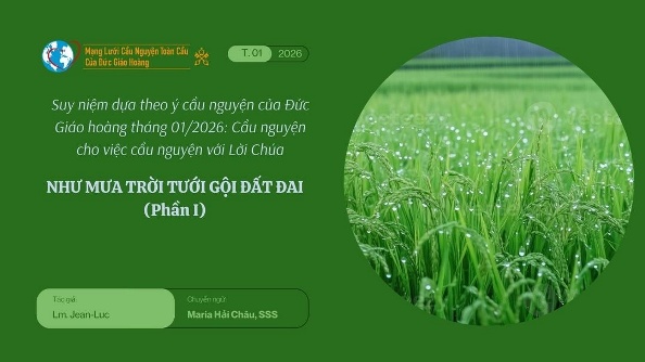 Như mưa trời tưới gội đất đai - Suy niệm dựa theo ý cầu nguyện của ĐGH tháng 01/2026 (1)