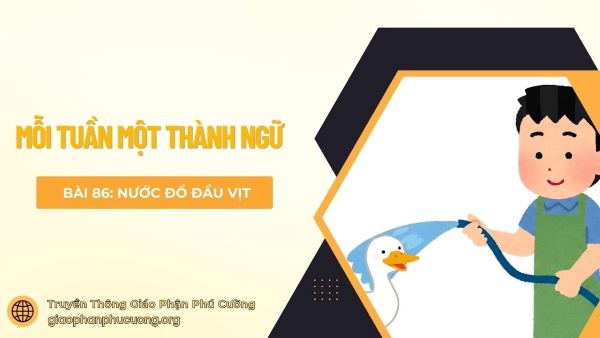 Mỗi tuần một thành ngữ: Nước đổ đầu vịt