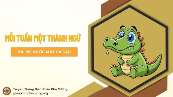 Mỗi tuần một thành ngữ: Nước mắt cá sấu