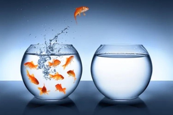 Ba bí quyết để tự do hơn trên mạng xã hội