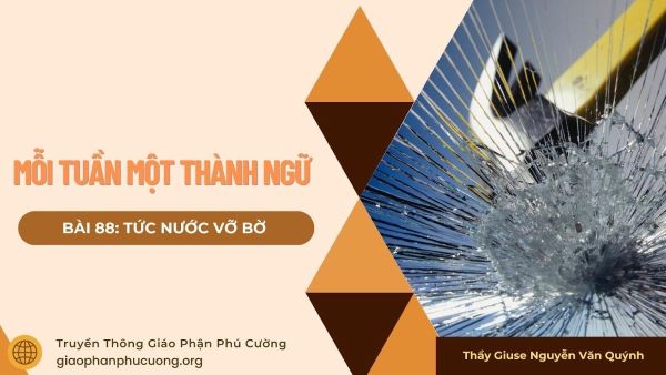 Mỗi tuần một thành ngữ: Tức nước vỡ bờ