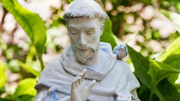 Mối liên hệ thiêng liêng giữa các vị thánh và những loài chim