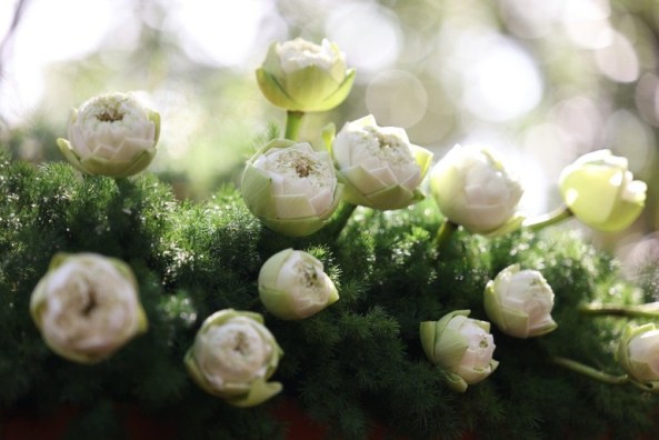 Hạt bụi trong kinh Pháp Hoa