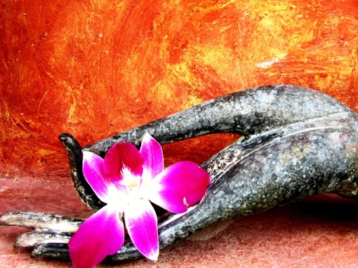 Chớ khởi tâm sợ hãi