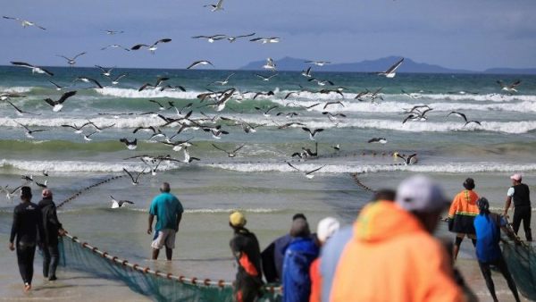 Vatican kêu gọi hành động vì ngư dân bị tổn thương nhân Ngày thế giới Ngư nghiệp 2025