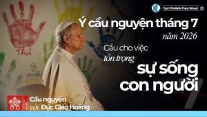 Ý cầu nguyện tháng 7/2026: Cầu nguyện để sự sống con người được tôn trọng
